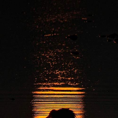 Photo #7497383
