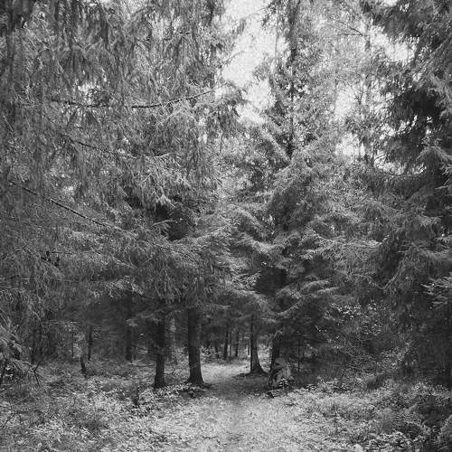 Photo #7497537