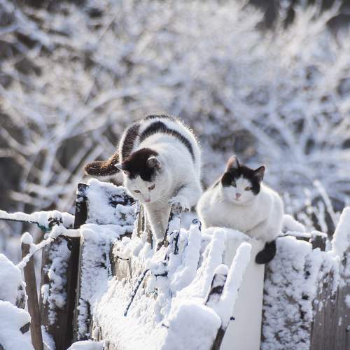Photo #7497618