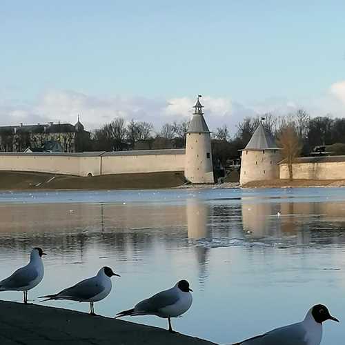 Photo #7497977