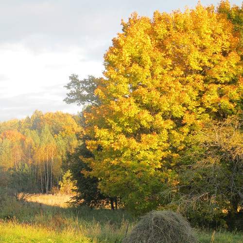 Photo #7498086