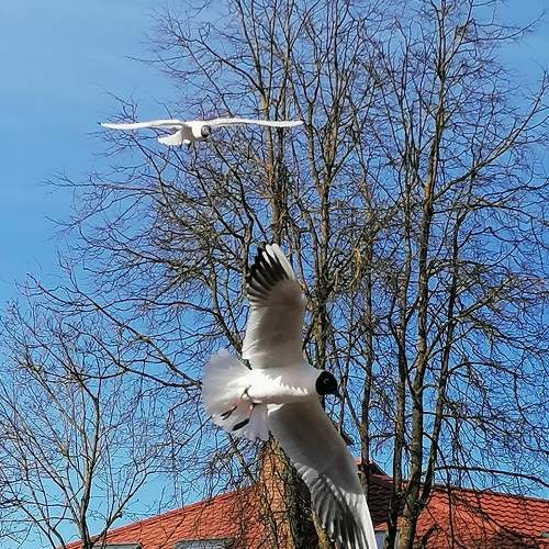 Photo #7498202