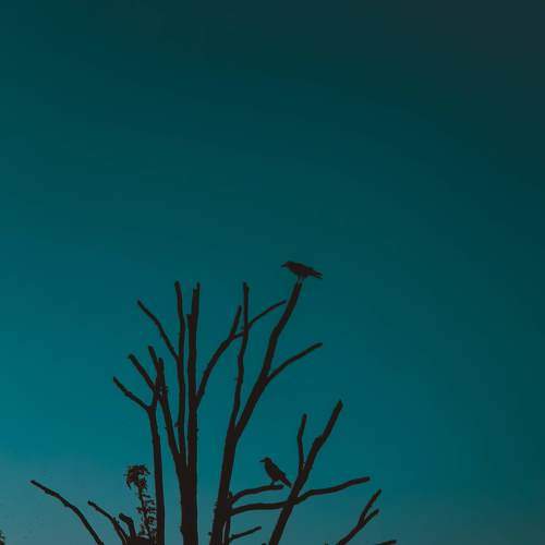 Photo #7498210