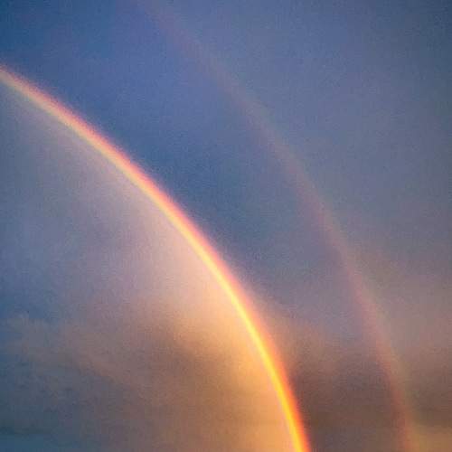 Photo #7498252