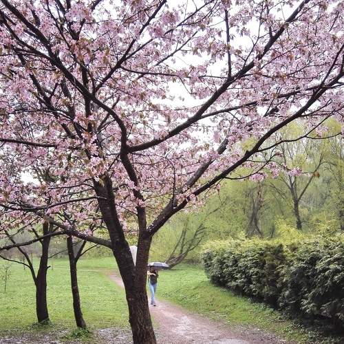 Photo #7498516