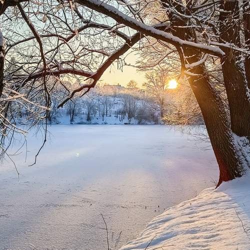 Photo #7498570