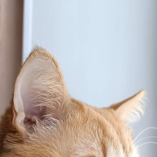 Photo #7498609