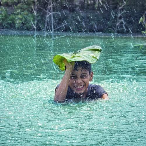 Photo #7498740