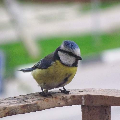 Photo #7499060