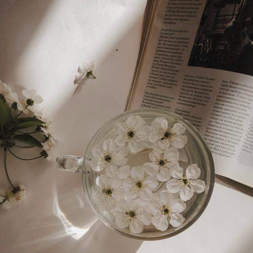 Photo #7499505