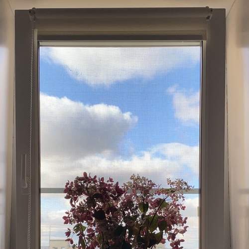 Photo #7499885