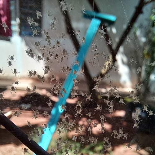 Photo #7499952