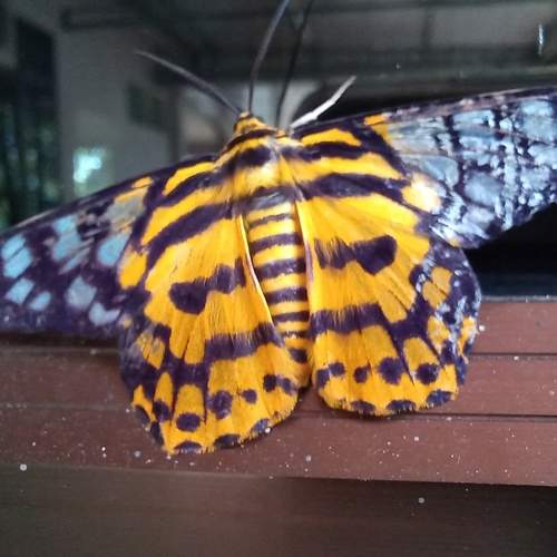 Photo #7499953