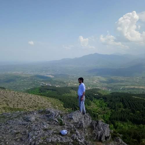 Photo #7499978