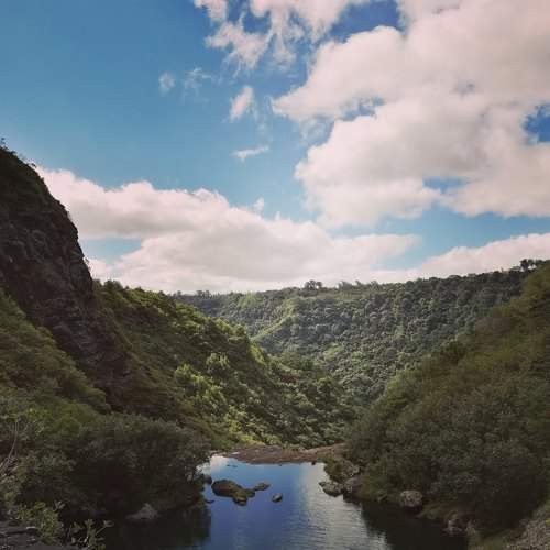 Photo #7500202
