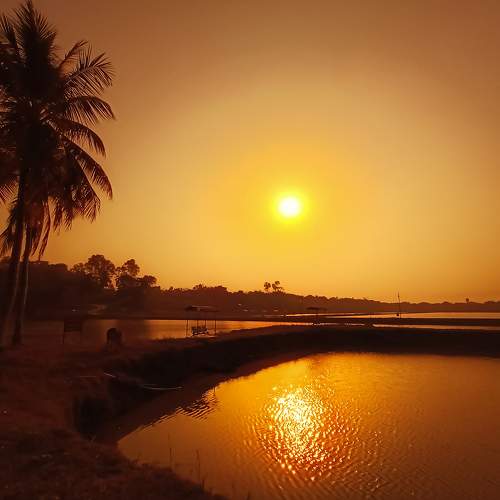 Sunlight falls in weaving water