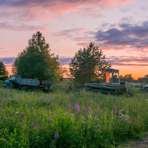 Photo #7500249