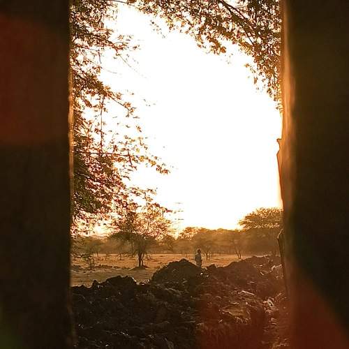 The man in the sunset