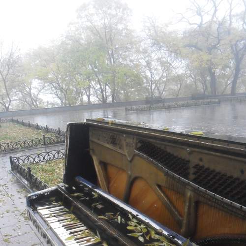Photo #7500789
