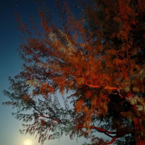 Photo #7501272