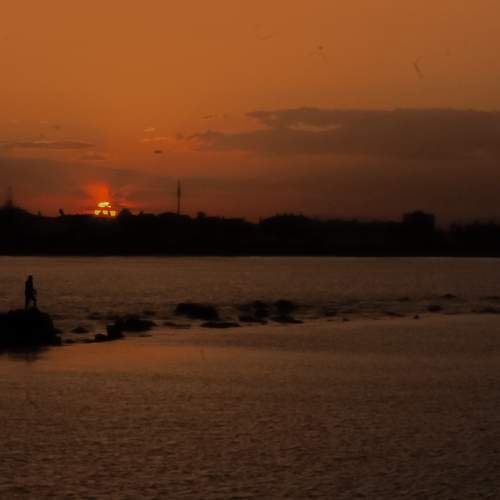 Photo #7501422