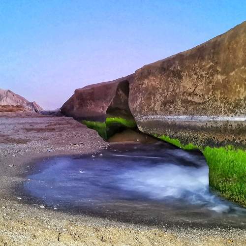 Photo #7501530