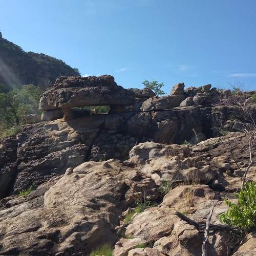 Photo #7501612
