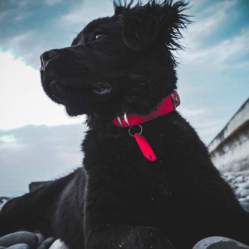 Photo #7501923