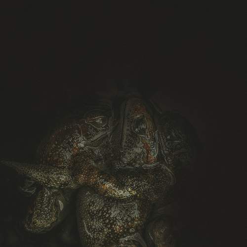 Photo #7502190