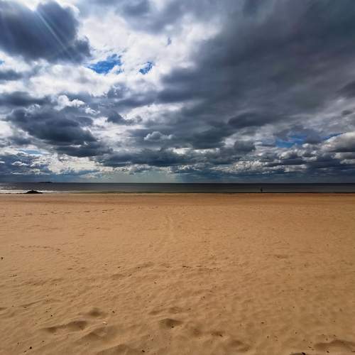 Photo #7502421