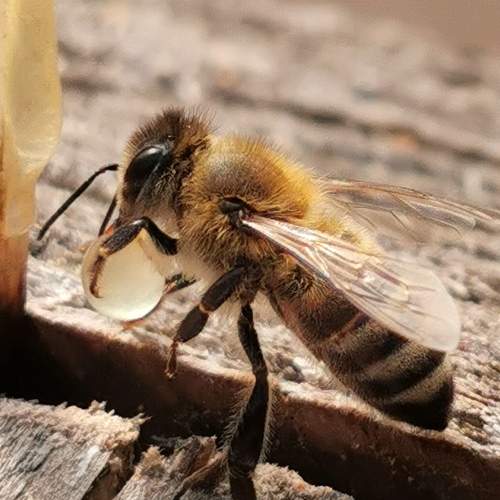 Photo #7502432