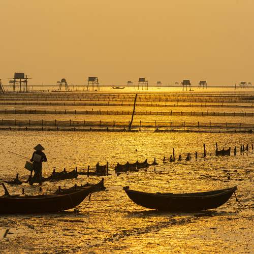Mùa biển cạn