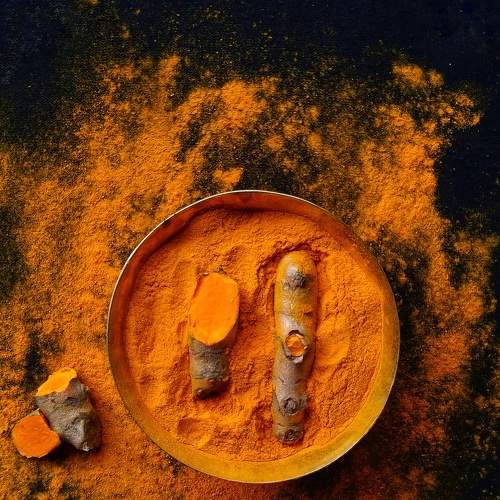 Photo #7502575