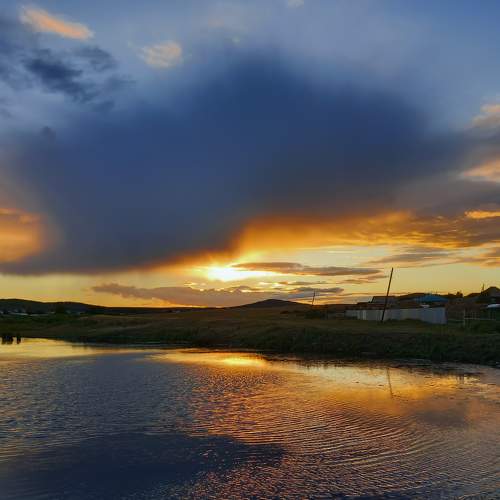 Photo #7502716