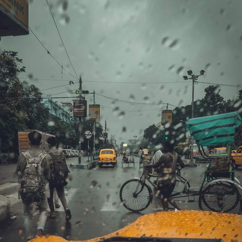 Photo #7502723