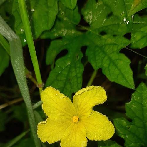 Photo #7502847