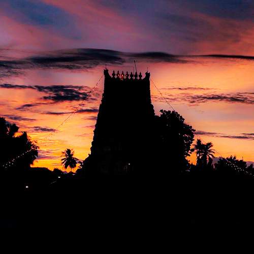 Photo #7502895