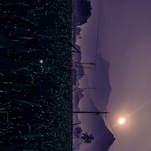 Photo #7502898