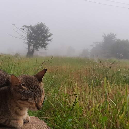 Photo #7502942