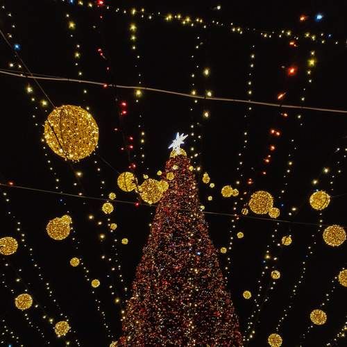 Photo #7503109