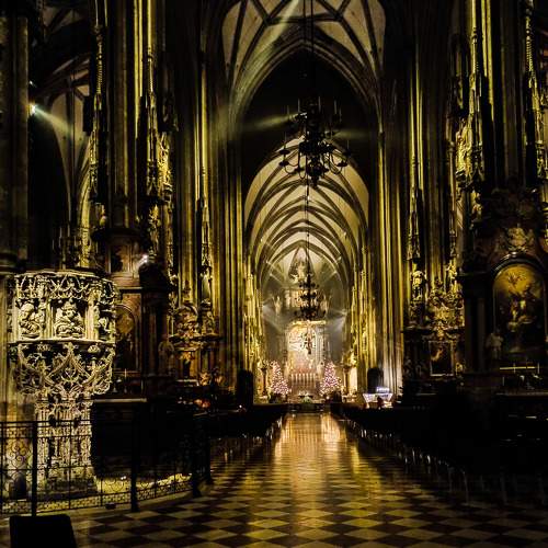 Photo #7503112