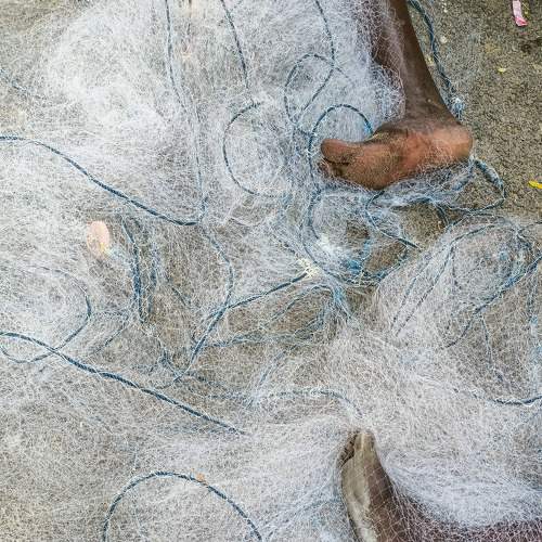 Photo #7503169