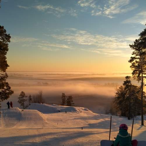 Photo #7503638