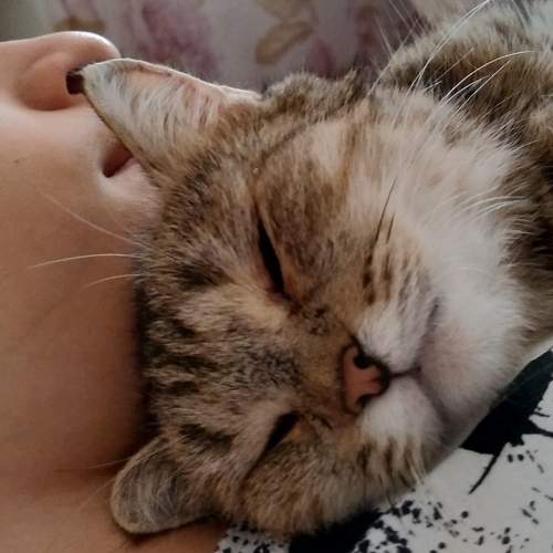 Photo #7503641