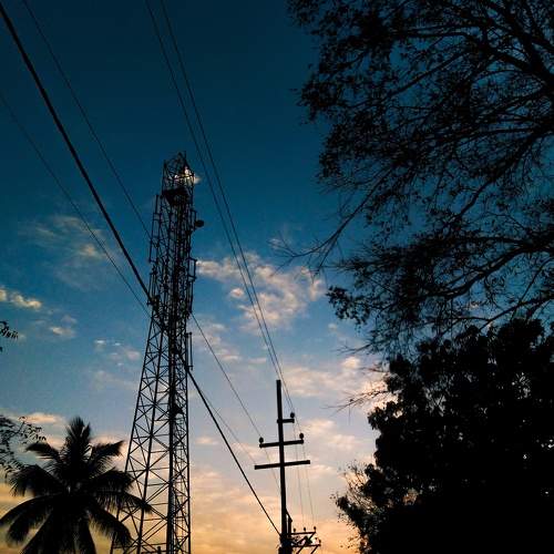 Photo #7503895