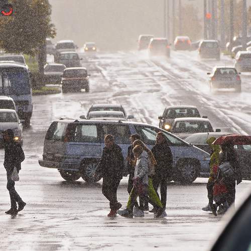 Photo #7503920