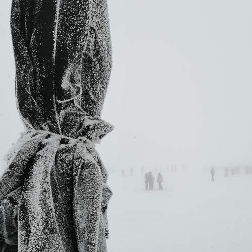 Photo #7504235