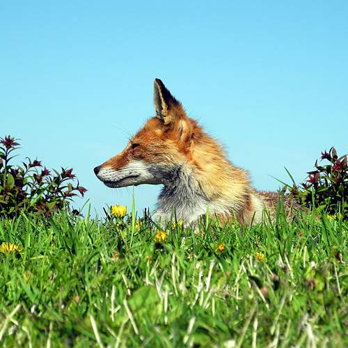 Photo #7504600