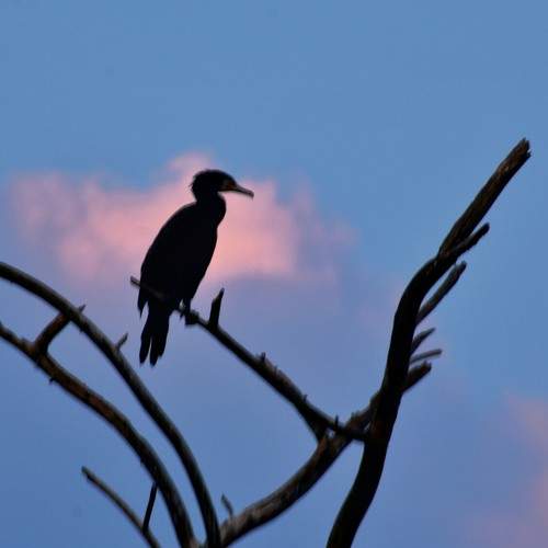 Photo #7504784