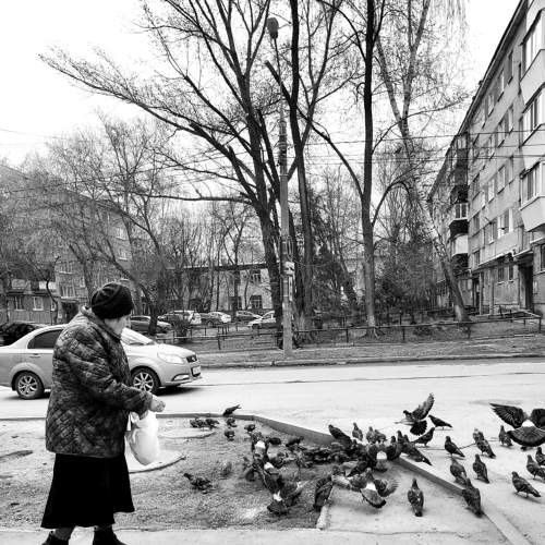 Фотография #7505191